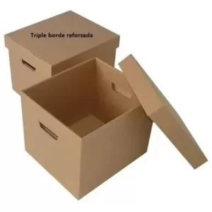 Caja 20Unds para archivo x300 con Tapa